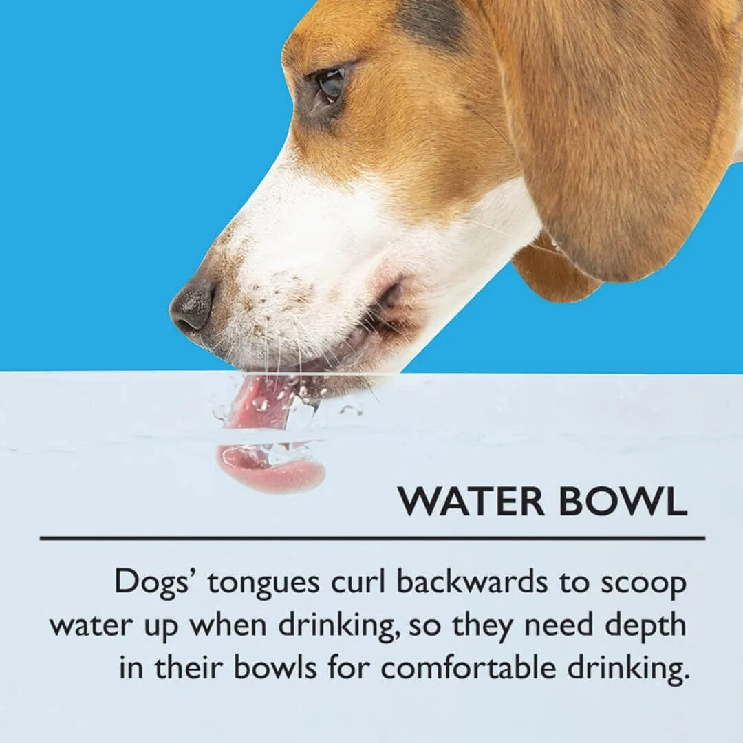 Classic 2 Piece Dog Food & Water Bowl Set - Grey